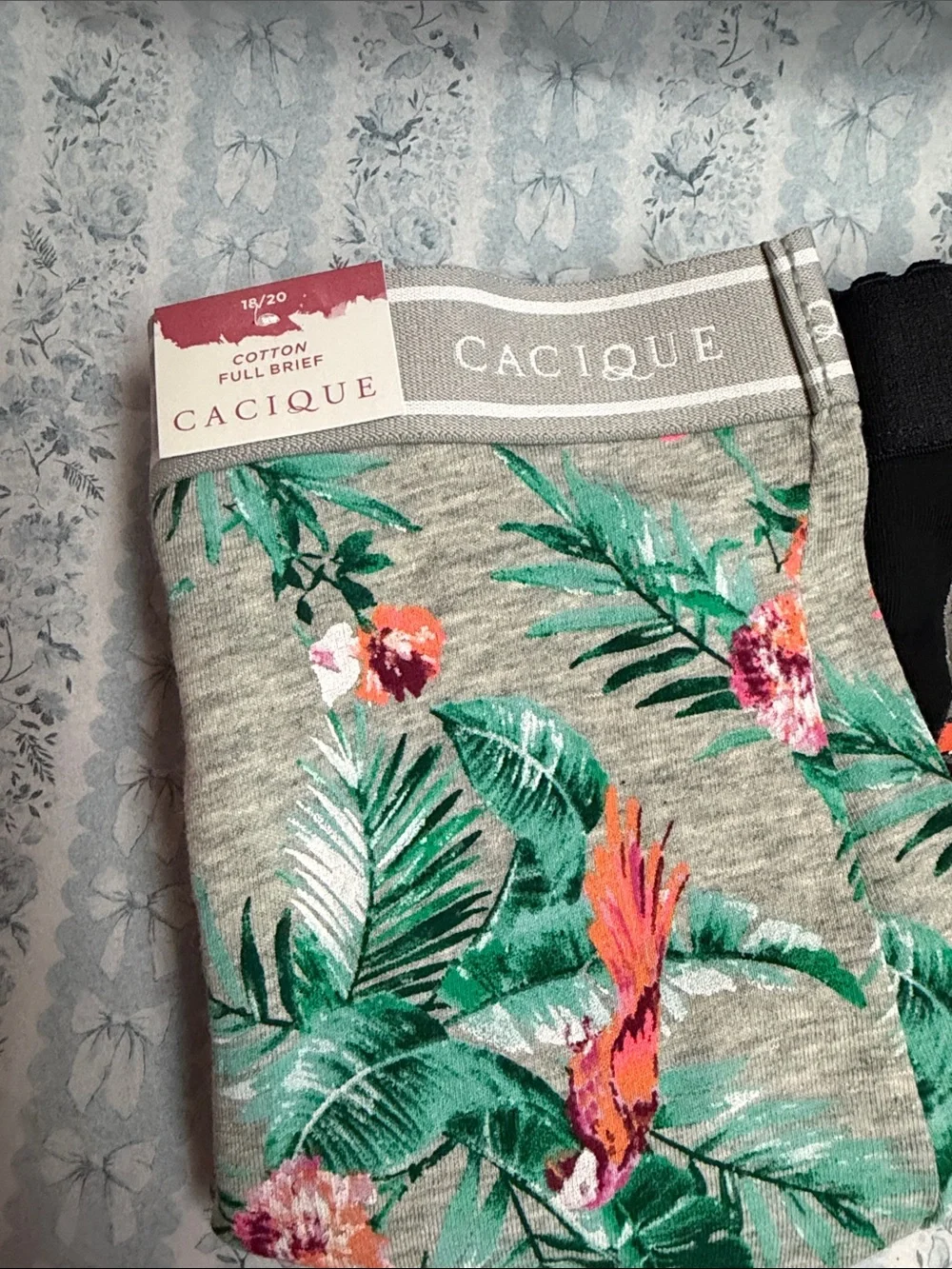 Lane Bryant Cacique Cotton Full Brief 2CT 18/20 - NEW